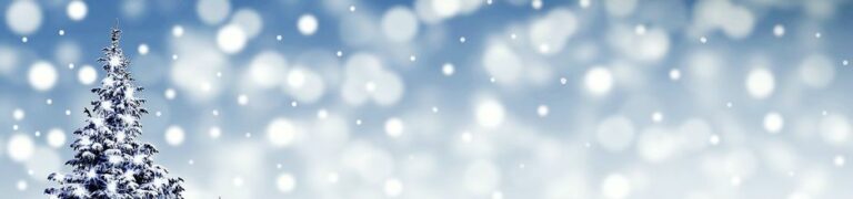 Mehr über den Artikel erfahren Besinnliche Adventzeit