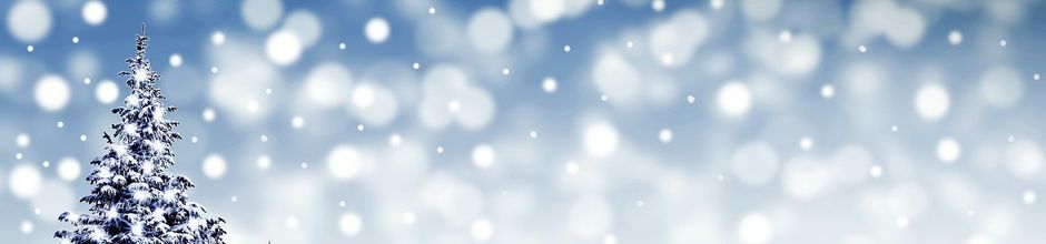 Mehr über den Artikel erfahren Besinnliche Adventzeit
